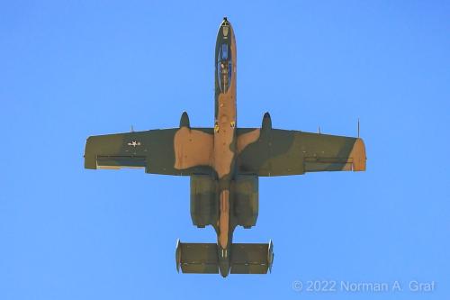 289417611_574376767591208_6261152828940151402_n