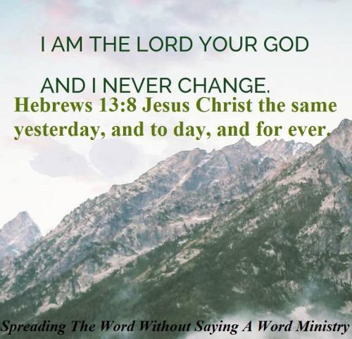 12049347_1023597721055692_9161293155957519273_n