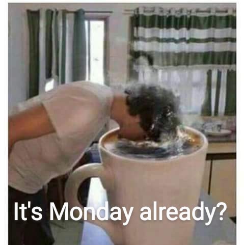 FB_IMG_1655343692341~2