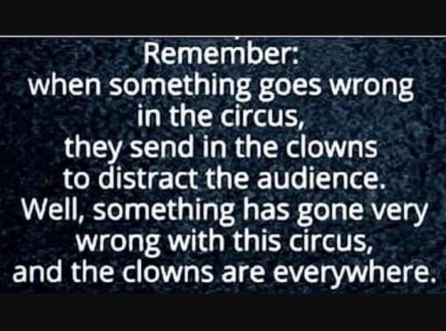 IMG_20220615_102654_030