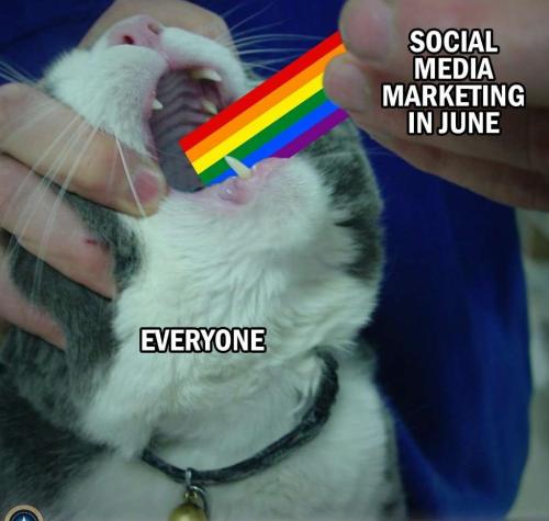 527ad5b6-5788-46b2-abc6-a412837b8b38