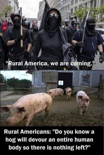 FB_IMG_1655392055490
