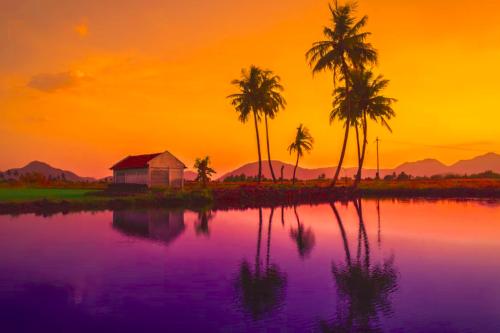 Desert Sunset on lake