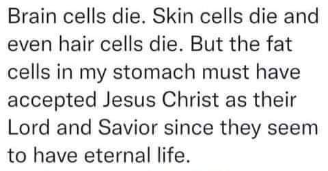 FB_IMG_1656348560416