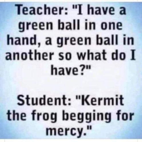 FB_IMG_1655509433429