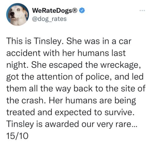 tumblr_a74708fe13b2d937601ce55160ead03a_638fc4df_640