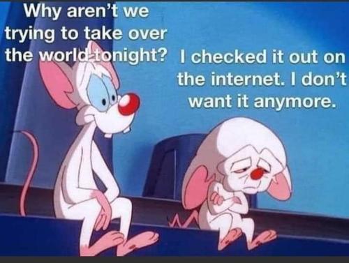 FB_IMG_1656458343406