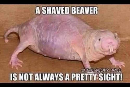 FB_IMG_1654872395620