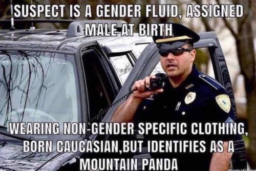 2cQLxkQ-sejnGYeqYy3IAefBH84q0ghIx7AhUPms0qE