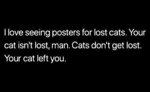 tumblr_36f48c3ad24d2ad54e9c0370bf8fae7d_c9df3ce9_1280