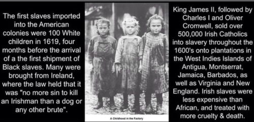 Screenshot_20220604-161458~2