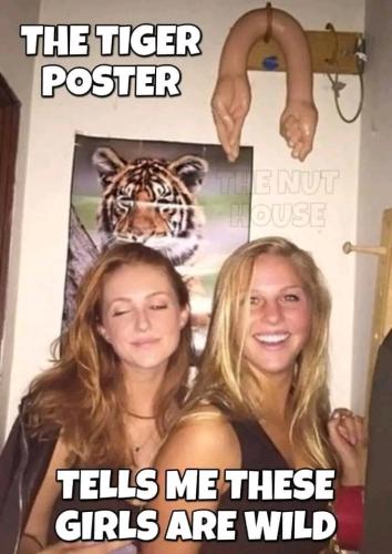 13:17:55 GMT-0400 (EDT)