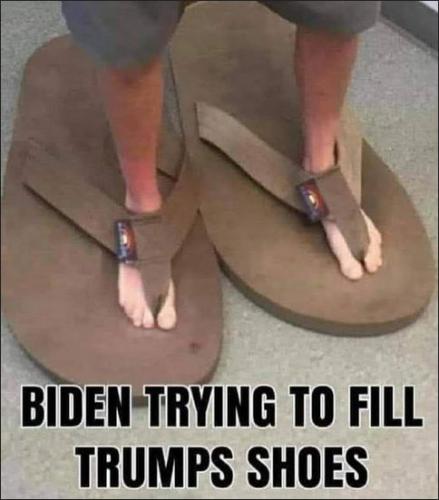biden973