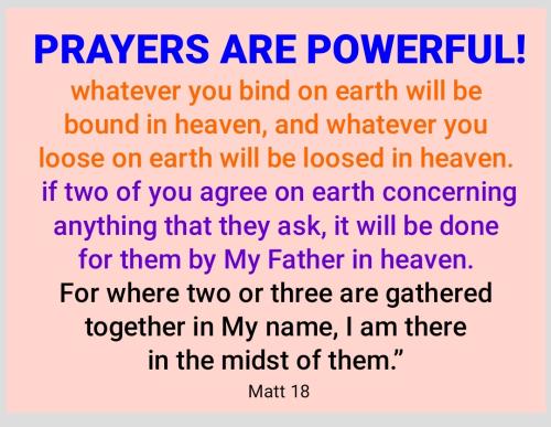 Screenshot_2022-06-04-08-04-54-110_cn.wps.moffice_eng~2