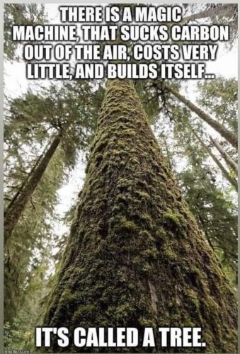 150B1956-D73F-403E-8194-CB74B34E4C2D-43338-000024198375CD0E