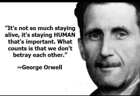 288080299_5522944014391882_3091493595188027019_n