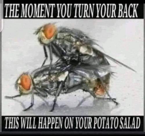 FB_IMG_1655479537039
