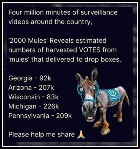 2000-mules-millions-surveillance