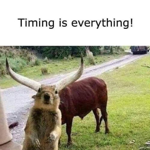 285493680_696708501625289_406019772669249776_n