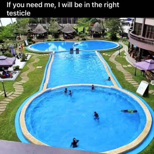 FB_IMG_1656603100375