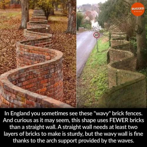 285502641_3484546671685696_6226027957698031548_n