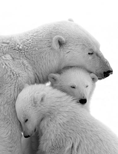 tumblr_mlfj2cAzTw1qh7xs1o1_540