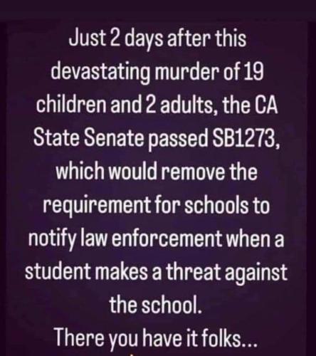 FB_IMG_1654104639307