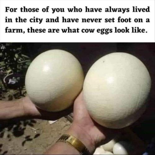 FB_IMG_1656530403227