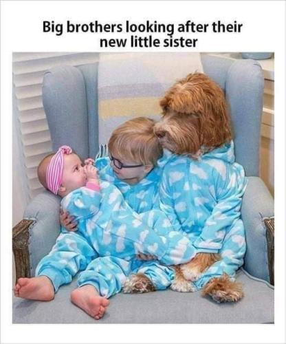 FB_IMG_1655477996053