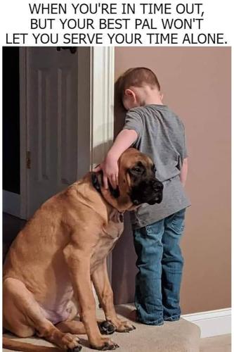 FB_IMG_1654540503287