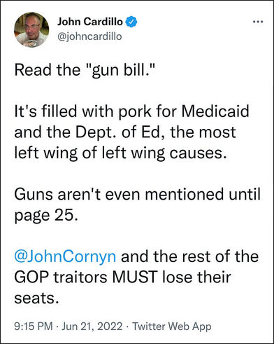 june 2022 gun bill00