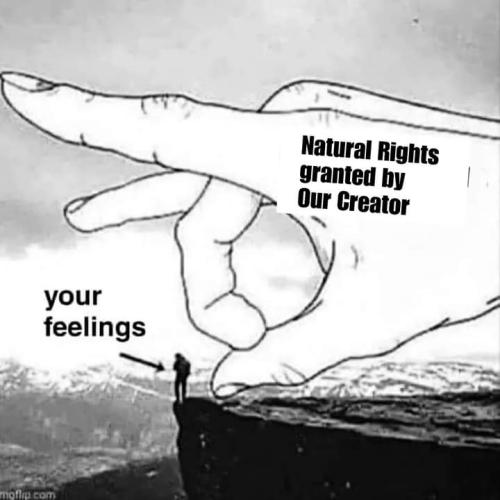 FB_IMG_1654616842333