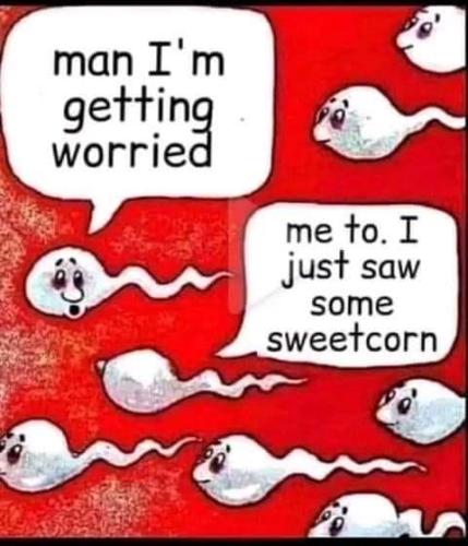 FB_IMG_1654967735902