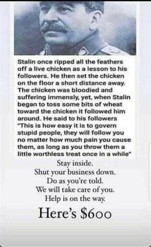 291273448_730627518054291_2325203467791067218_n