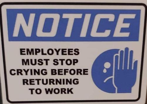 FB_IMG_1656098245212