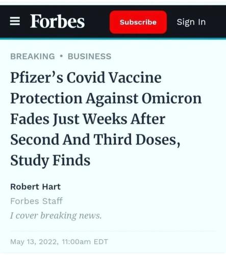 Phizer 1