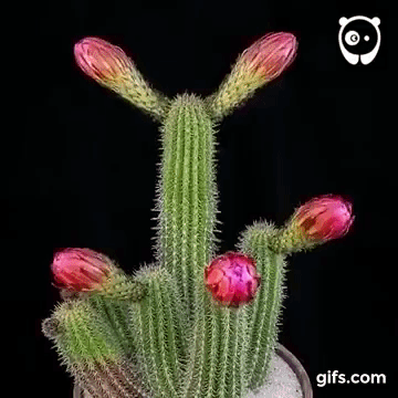 19:26:06 GMT-0500 (CDT)