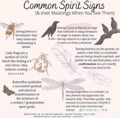 IMG_20220626_155135_010