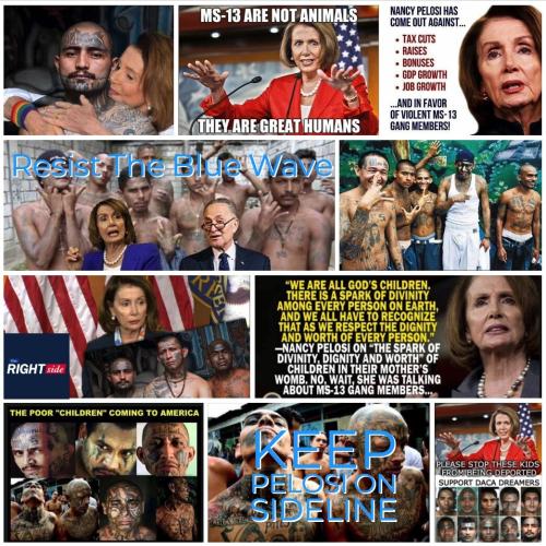 Pelosi 1