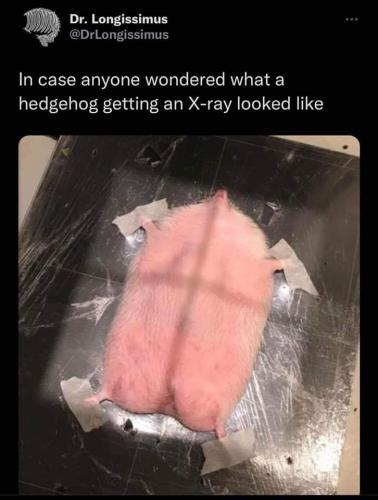 FB_IMG_1655737561289