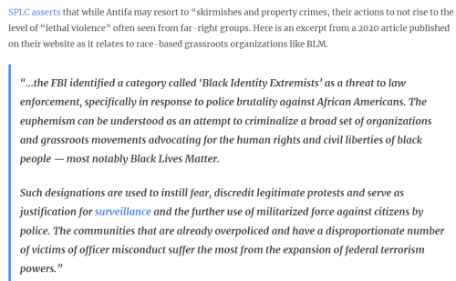 Antifa BLM 1