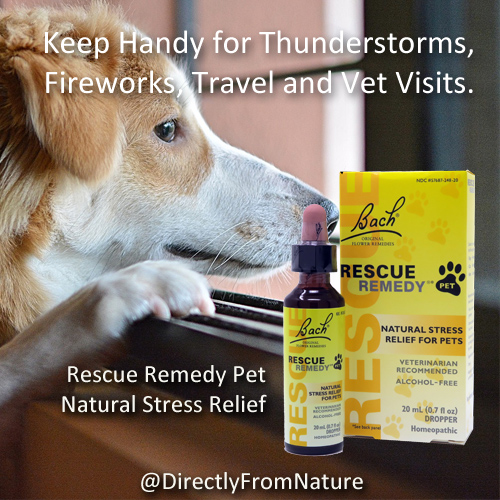 Rescue Remedy Pet 210210_1410