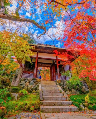 289030235_576219880540685_4127277322311868081_n