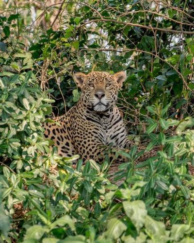 tumblr_c3cf06ef5f42ac32d3254913c331d1a5_6544de28_540