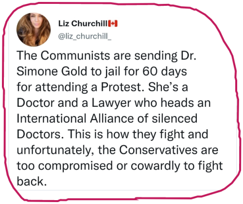 snapshot_www.minds.com_1655522408404