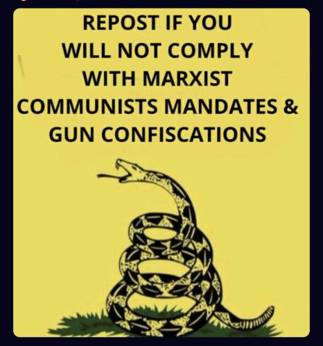 Guns 1