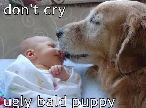 22:25:39 GMT-0500 (CDT).image