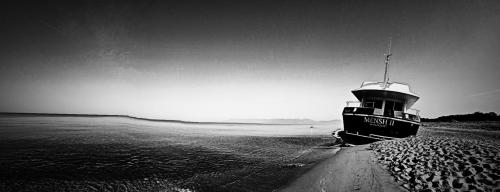 Picsart_22-06-04_15-39-50-362