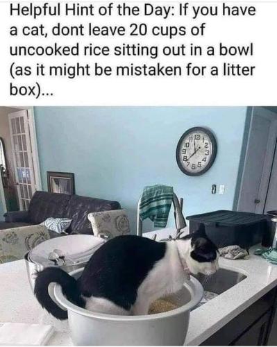 FB_IMG_1654891842689