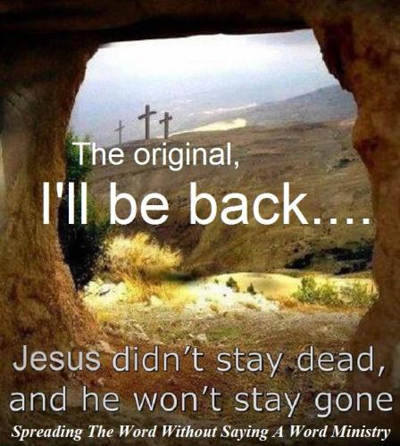 947365_1018990701516394_1434165009729317876_n